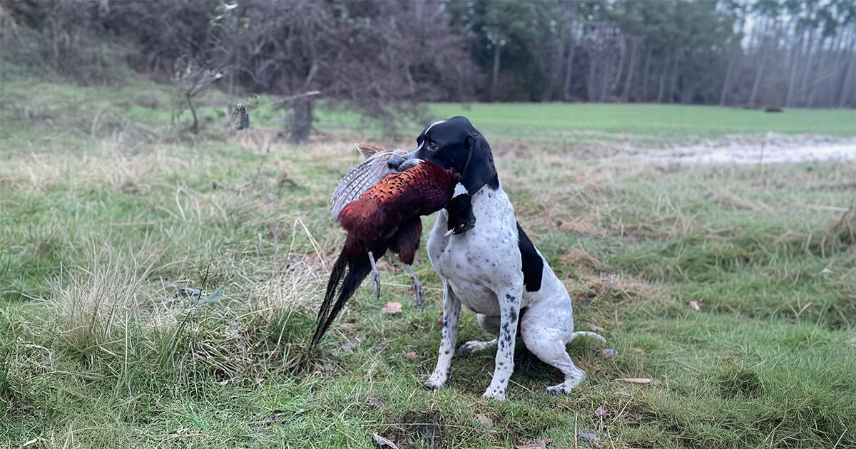 SE43869:2020-bwbb